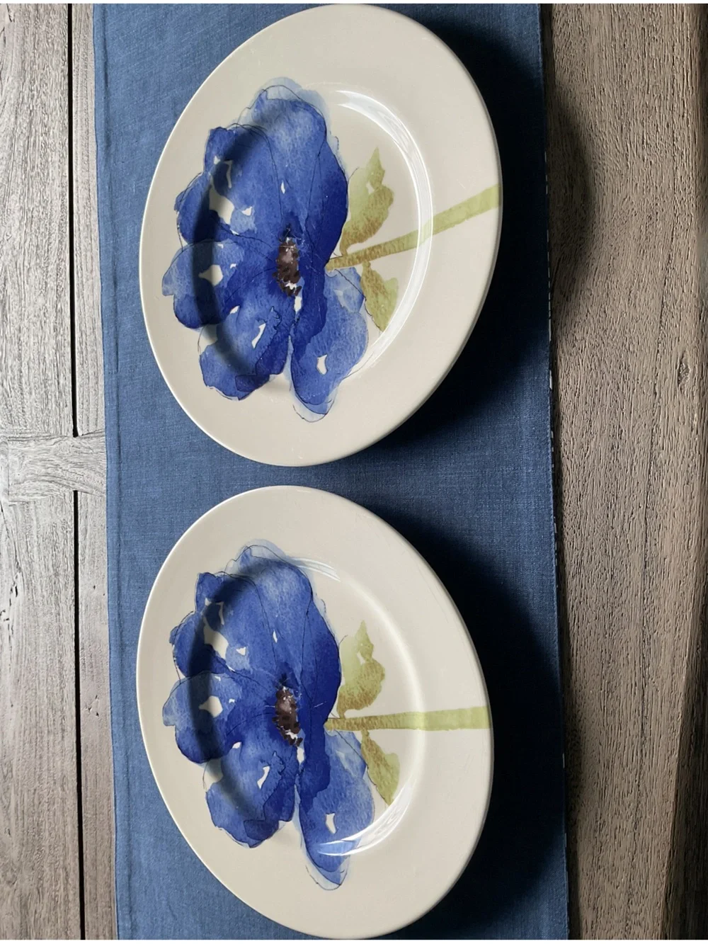 Vintage Stafford Stunning Blue Poppy on White China Dinner Plate, Set of 2